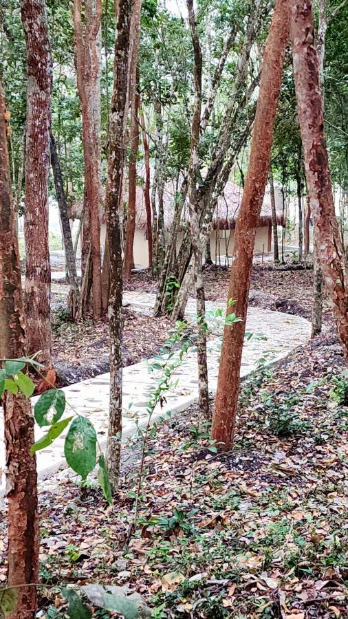 Hotel Cabanas Aldea Maya إكسبوجيل المظهر الخارجي الصورة
